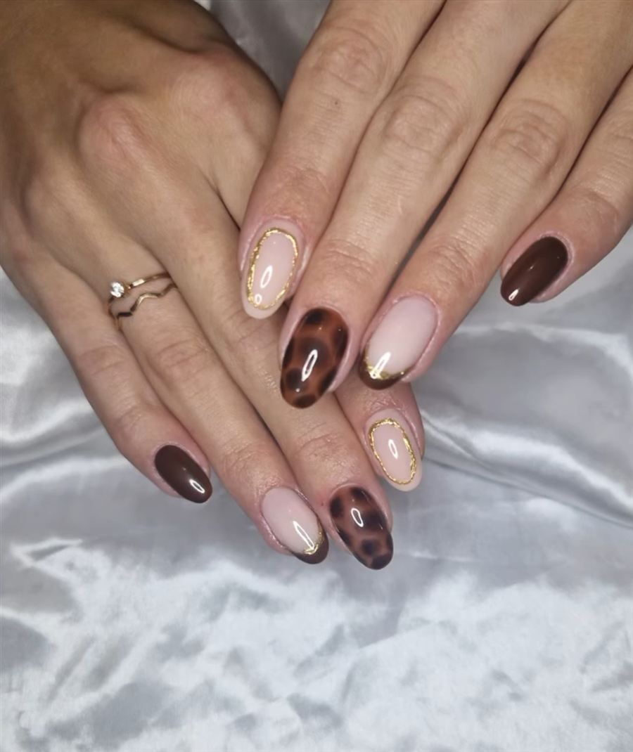 Ongles ronds chocolat, écaille et nude cerclé d'or